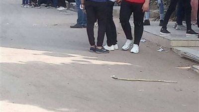 طلاب الثانوية بالقليوبية: 