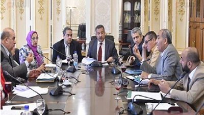 صحة البرلمان توافق مبدئيًا على مشروع قانون الهيئة العليا للدواء