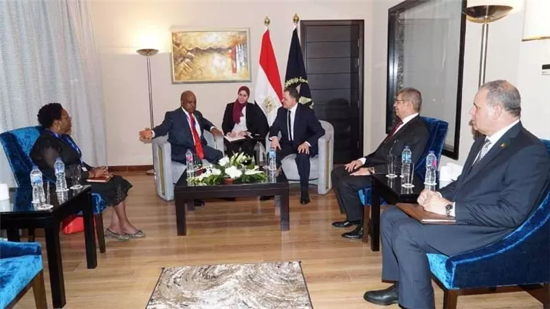 وزير الداخلية يلتقي نظرائه من 8 دول أفريقية لبحث سبل التعاون الأمني