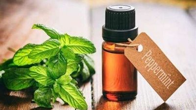 أبرزها الكافور.. زيوت تحمي من ضربات الشمس خلال فصل الصيف