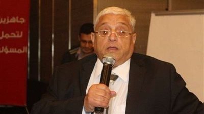 برلماني: ترأس مصر للاتحاد الإفريقي انعكاس لمجهودات الدولة بالقارة السمراء