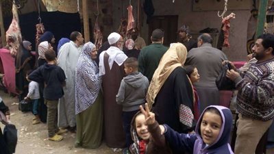 تحصين 40 ألف ماشية في الحملة القومية ضد أمراض الحمى ببني سويف