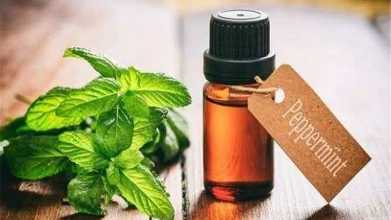 أبرزها الكافور.. زيوت تحمي من ضربات الشمس خلال فصل الصيف
