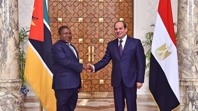 بالصور.. تفاصيل لقاء السيسي برئيس موزمبيق