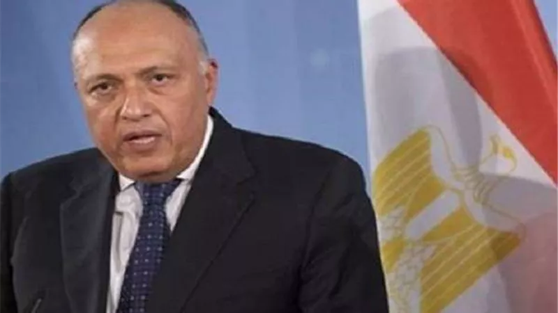 جلسة مباحثات بين الخارجية المصرية ونظيرتها السويدية لتعزيز التعاون