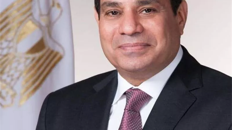 السيسي يتابع تنفيذ مشروعات قطاع البترول
