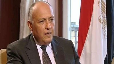 بالفيديو.. 