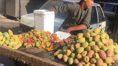 أبرزهم علاج الاكتئاب.. 8 فوائد مذهلة للتين الشوكي