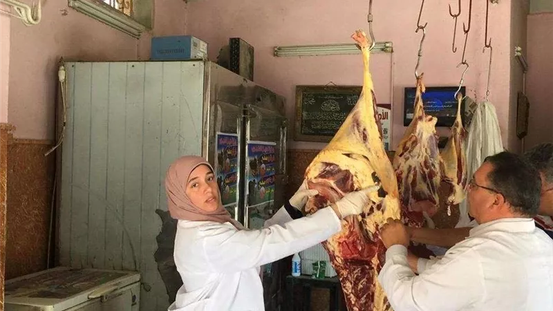 ضبط 800 كيلو لحوم فاسدة بنبروه ومنية النصر بالدقهلية