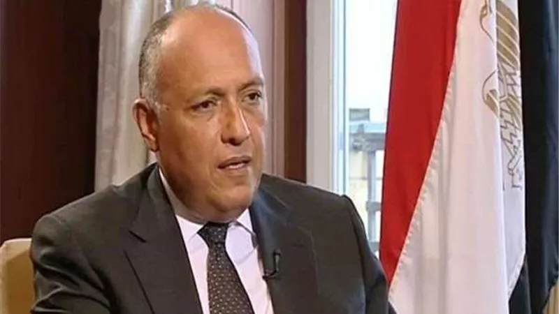 مصر تدين الهجوم الإرهابي على مطار أبها الدولي بالسعودية