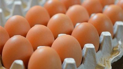 انخفاض أسعار البيض في الأسواق