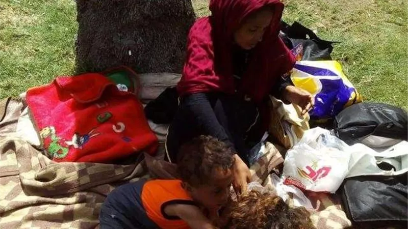 غادة والي: التدخل السريع نجح فى تنفيذ 1000 مهمة إنقاذ منذ تأسيسه