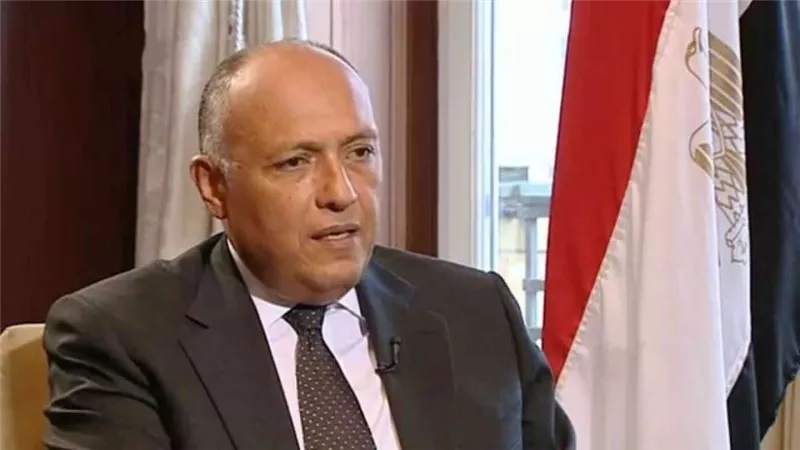 سامح شكري يترأس اجتماع وزراء خارجية دول 