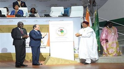 ضمن دورة استثنائية.. مصر تحتضن قمة أفريقية استثنائية في نيامي