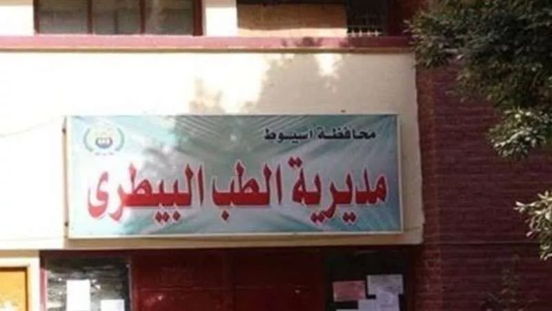 بيطري أسيوط يواصل تنظيم حملات لتحصين الماشية ضد الحمى القلاعية