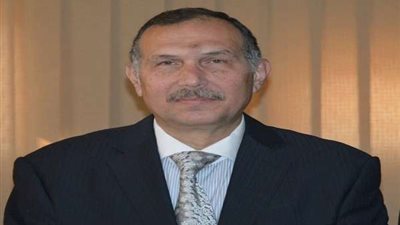 نائب رئيس 