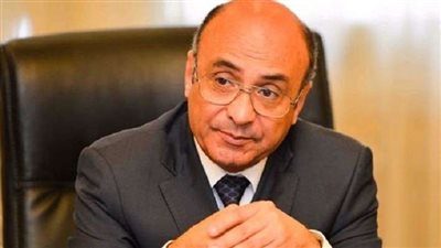 عمر مروان: الحكومة ملتزمة بحكم الدستورية في 