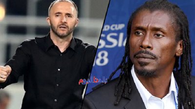 ابتسم الحظ.. كأس أمم أفريقيا 2019 ينتصر للمدرب الوطني