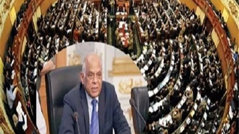 البرلمان يوافق نهائيًا على قانون الحكومة بشأن المحاكم الاقتصادية