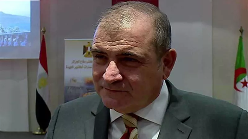 مصر تصدر 4386 تأشيرة للجزائريين منذ بداية أمم أفريقيا