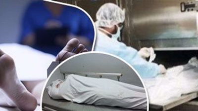 بـ 12 طعنة.. حبس متهم مزق جسد سيدة  في السلام