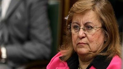 برلمانية: أفريقيا غنية بالثروات لكنًها تفقد التكنولوجيا والدعم
