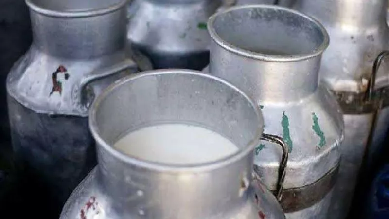 محافظ الدقهلية: إغلاق مصنع منتجات ألبان بدكرنس لعدم وجود ترخيص