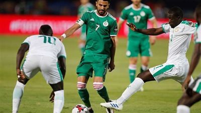 الجزائر تفوز بجميع مبارياتها فى أمم أفريقيا 2019 وتتوج باللقب الثاني في تاريخها