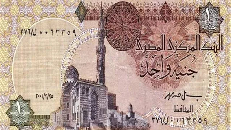 بالإنفوجراف... الجنيه يحتل المركز الثاني كأفضل عملات العالم أداءً في 2019