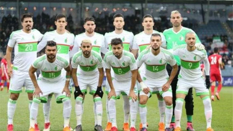 رسميا.. نجم الجزائر ينتقل للدوري الفرنسي