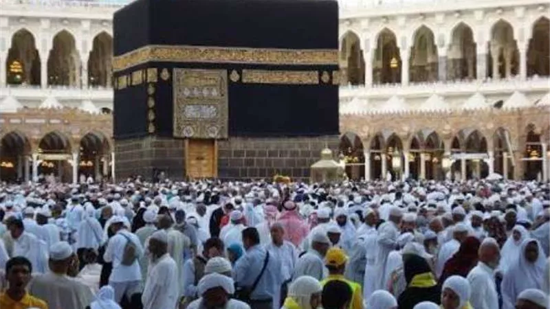 توفير أتوبيسين من الوادي الجديد بالمجان لنقل الحجاج لمطار الأقصر