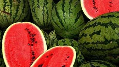 مدير مركز السموم: في هذه الحالة يتعرض البطيخ للتسمم (فيديو)