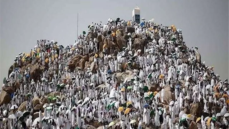 ارتفاع أعداد الوفيات بين الحجاج المصريين لـ43