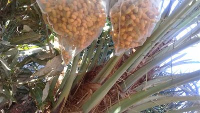 بدء عملية 