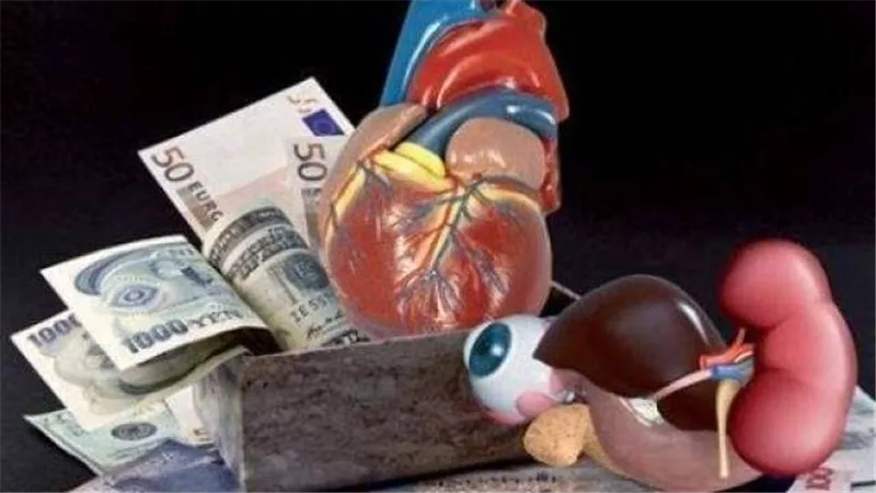 3 شائعات صدقها الشعب.. والحكومة تنفي سرقة الأعضاء ومرض الخبز