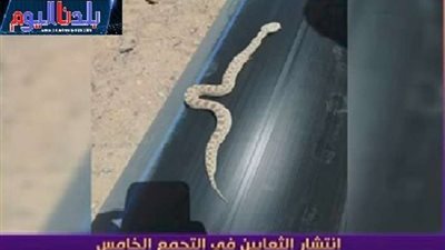 فيديو| بعد ظهور 