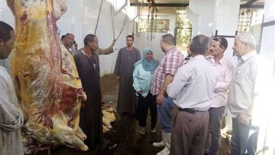 بيطري المنيا يكثف حملاته على الاسواق قبيل عيد الأضحى