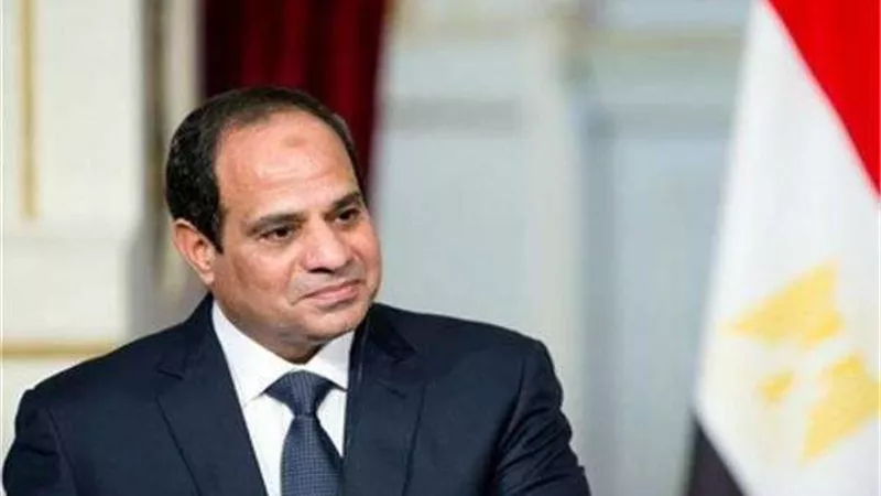 إحدى المتطوعات بـ حياة كريمة: الرئيس دعمنا كثيرا وقدم أفكارا لتوحيد الجهود