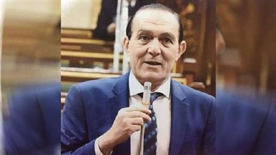 برلماني: الرئيس حريص على الاستفادة من طاقات الشباب