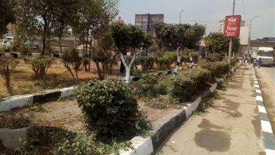إزالة 69 حالة تعد بمركز المنصورة وتوريد 5 آلاف طن قمامة