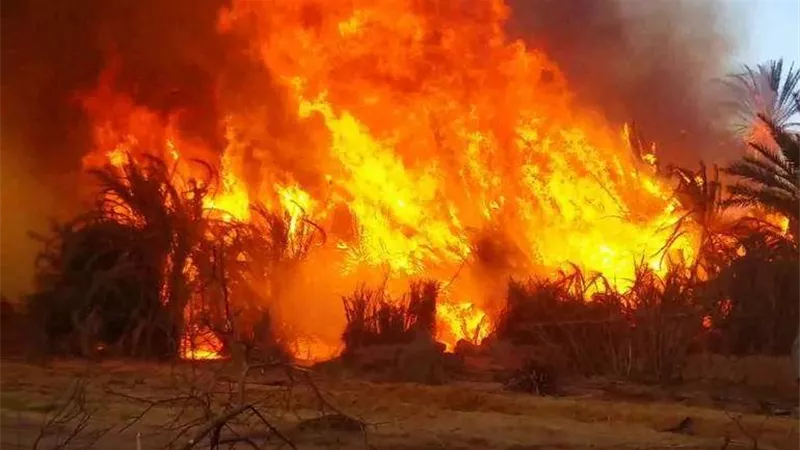 حريق هائل في حظيرة ماشية بالفيوم
