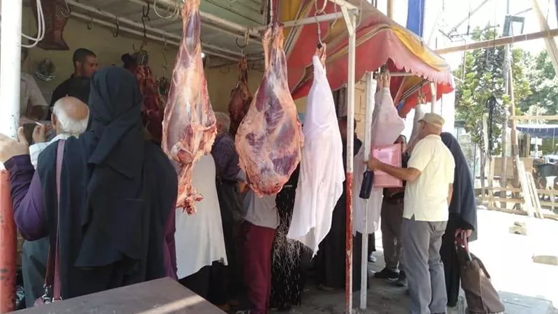 ضمن حياة كريمة.. 