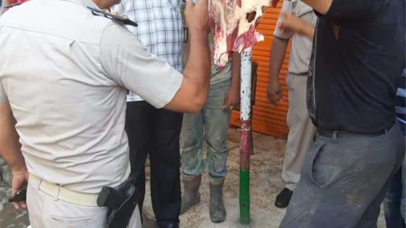محافظ البحيرة: حملات تموينية مكثفة مع اقتراب حلول عيد الأضحى