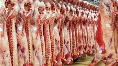 13 مجزرا لاستقبال أضاحي المواطنين بالوادي الجديد