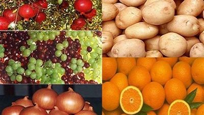 الزراعة: ارتفاع صادرات مصر الزراعية لأكثر من 4.6 مليون طن
