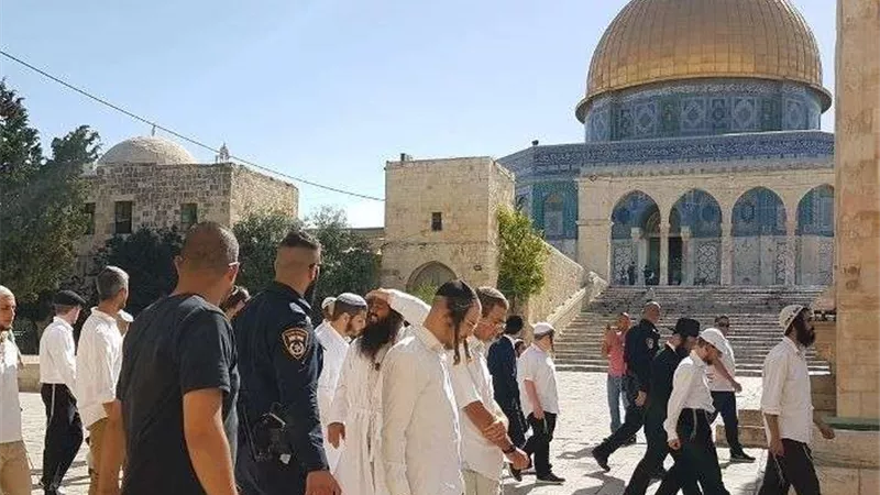 مستوطنون صهاينة يرشقون المواطنين في الخليل بالحجارة