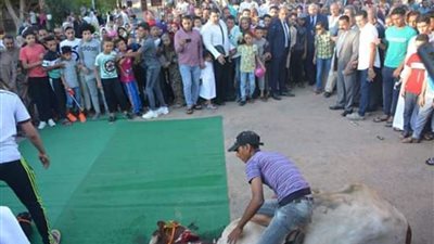 الزملوط يشهد ذبح الأضاحي ويشدد بتوزيعها على المستحقين