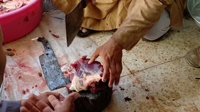 دعاء يُستحب أن يردده المضحي عند ذبح أُضْحِيَّته في أول أيام العيد