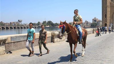 في أول أيام العيد.. إقبال متوسط على حدائق القناطر بسبب الأضاحي (صور)