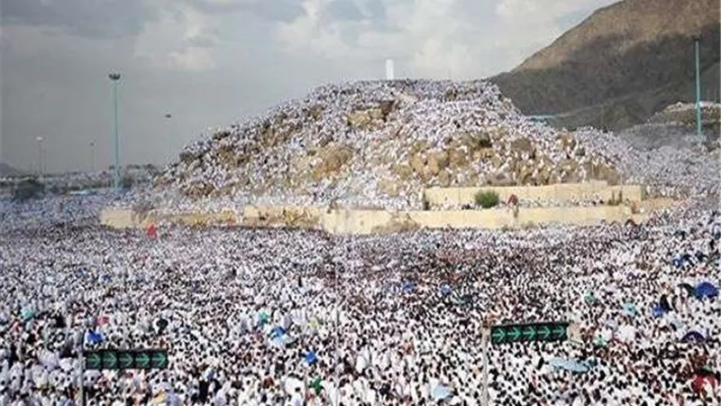 بث مباشر.. الحجاج يؤدون الركن الأعظم بالوقوف على عرفات